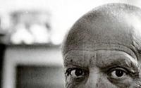 Picasso y los libros